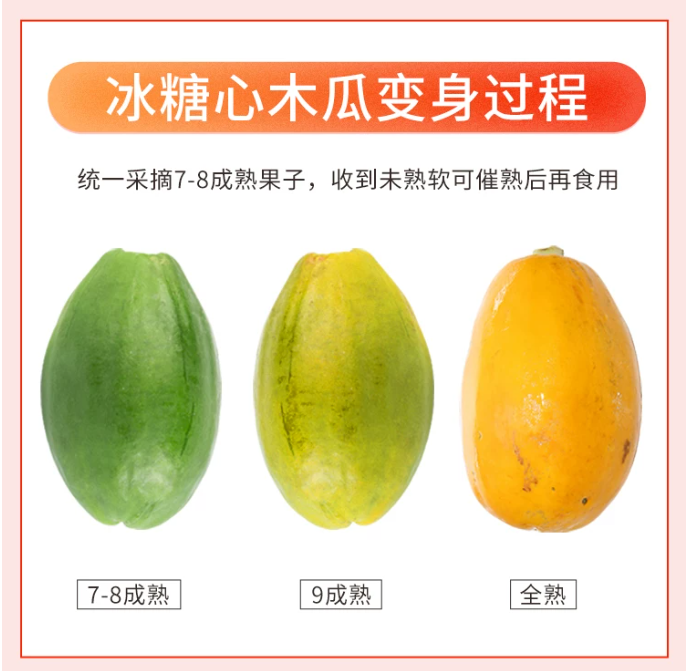 木瓜 家庭鲜装