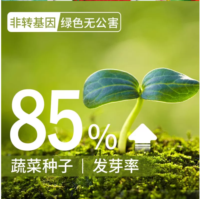 菠菜 家庭鲜装