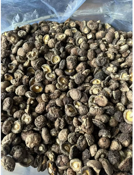 干香菇 精选装