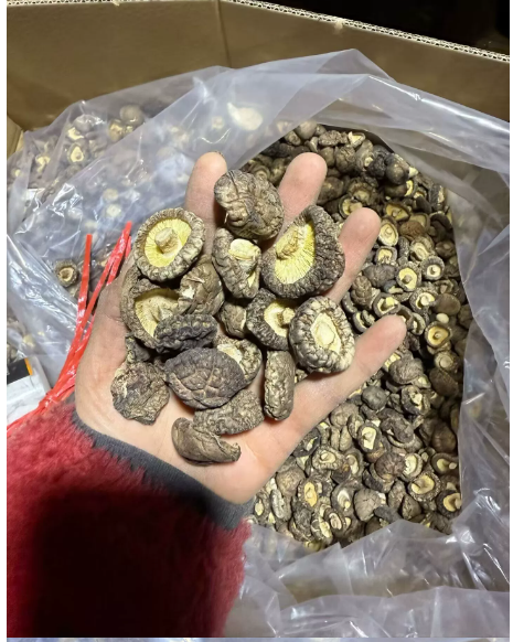 干香菇 精选装