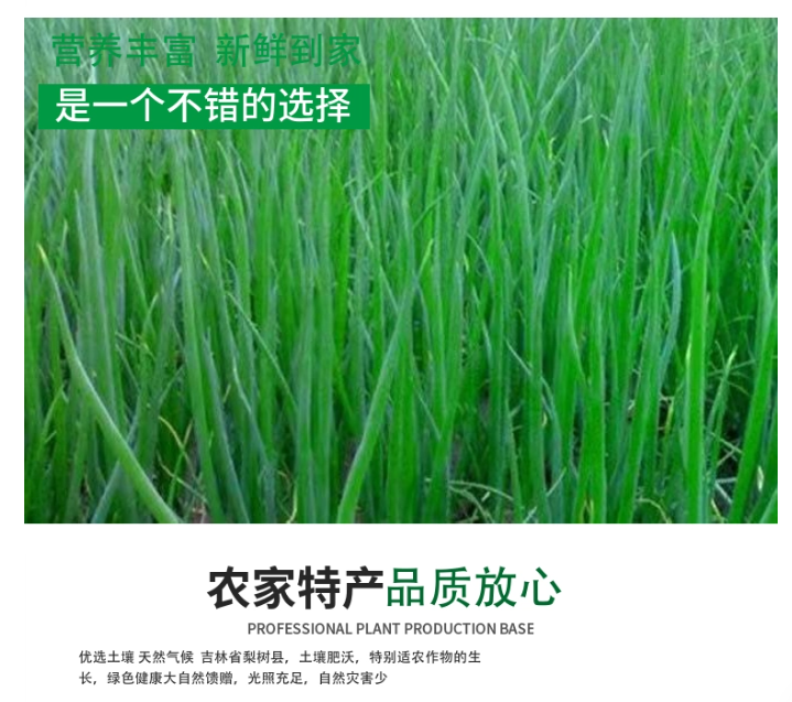 小葱 家庭鲜装