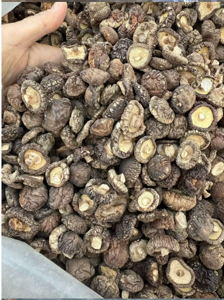 干香菇 精选装
