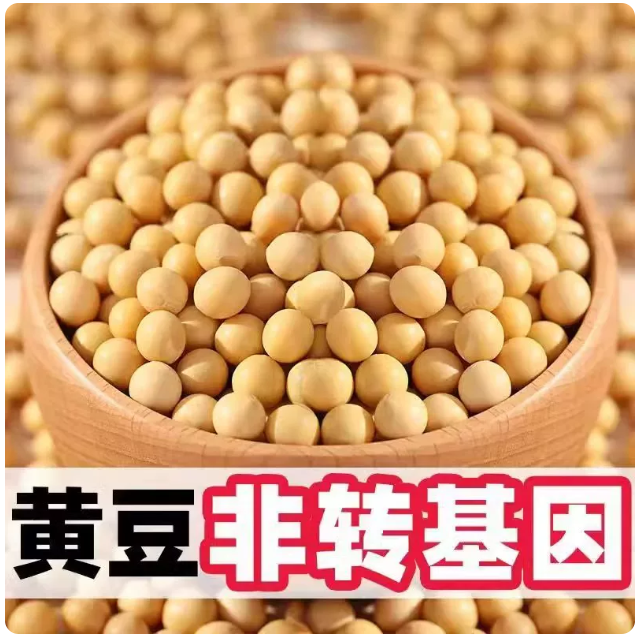 黄豆 家用装