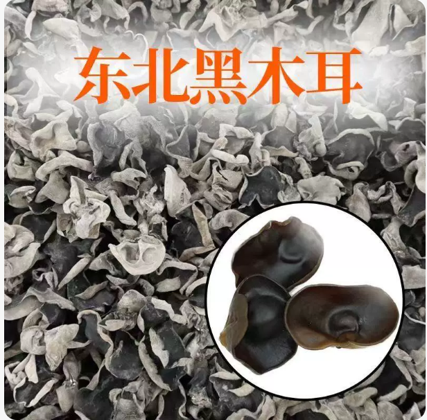 黑木耳 精选装