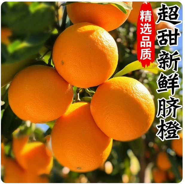 龙川脐橙 5斤装