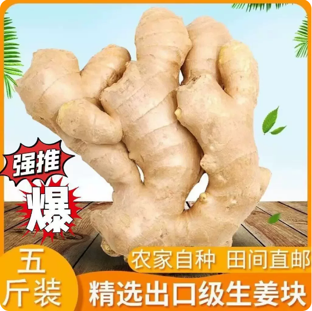生姜 家庭鲜装