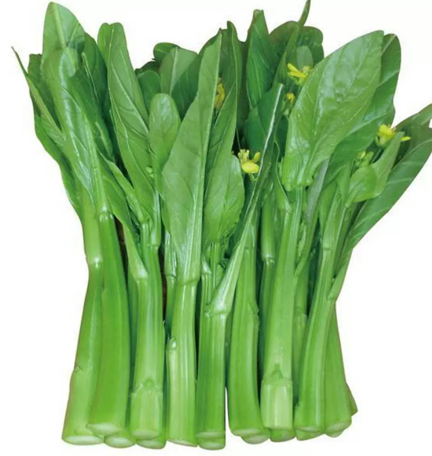 菜心 家庭鲜装
