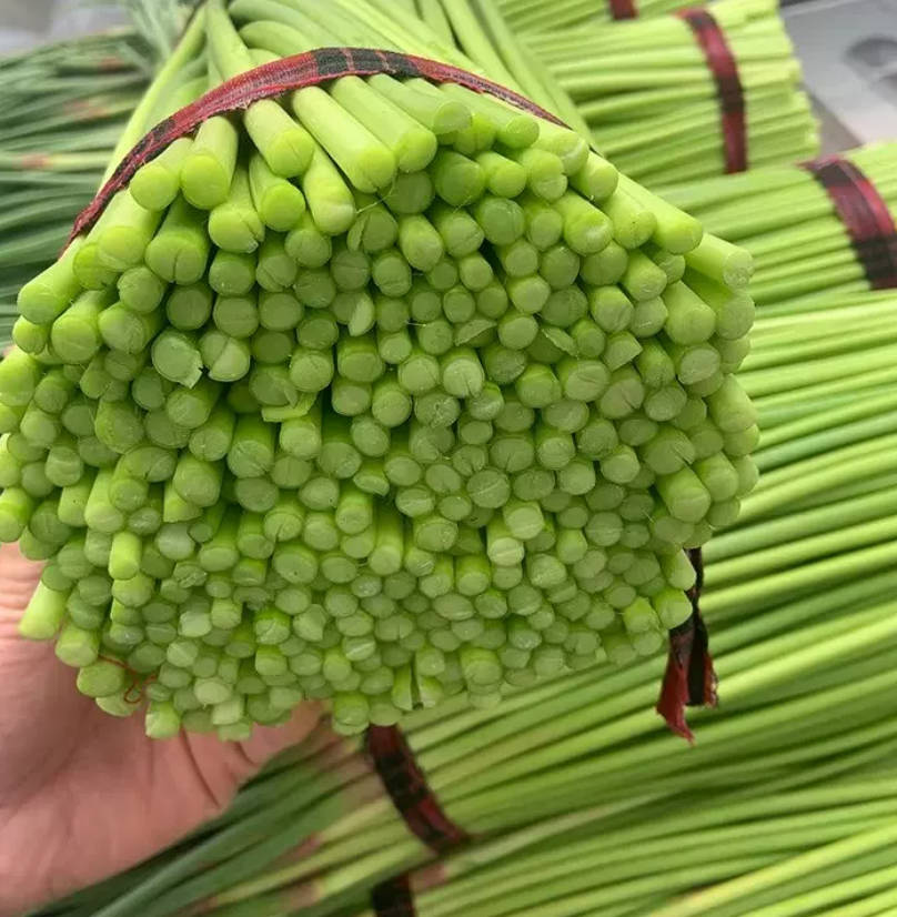 蒜苗 家庭鲜装