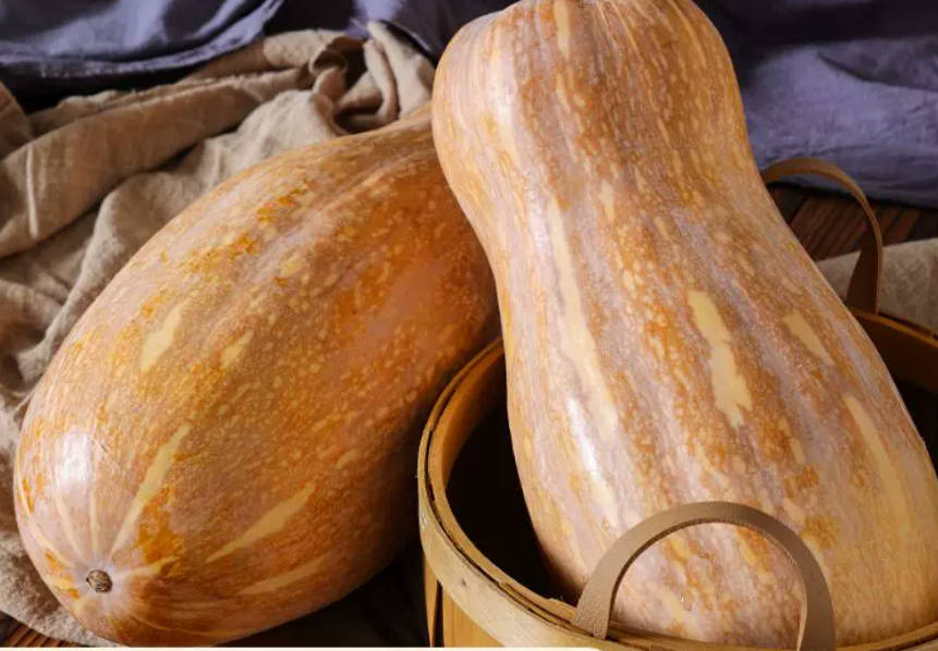 南瓜 家庭鲜装