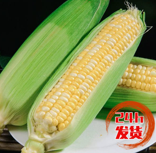 玉米 家庭鲜装